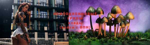 ALPHA PVP Абаза