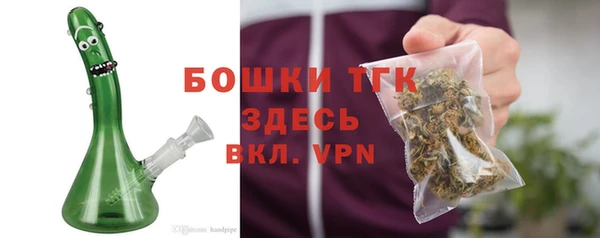2c-b Пестово