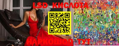 PSILOCYBIN Гатчина
