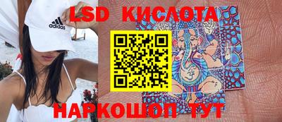 PSILOCYBIN Гатчина