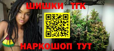 PSILOCYBIN Гатчина