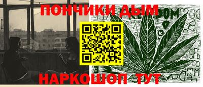 PSILOCYBIN Гатчина