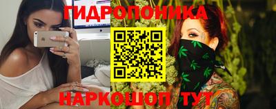 PSILOCYBIN Гатчина