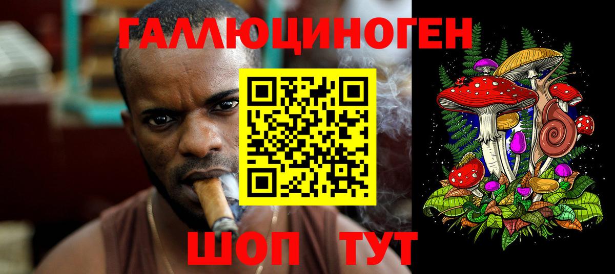 Псилоцибиновые грибы Psilocybe Скопин