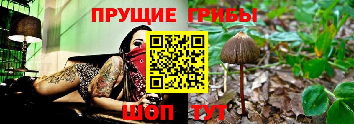Галлюциногенные грибы ЛСД  Вход с VPN  Скопин 